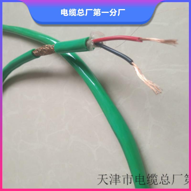 耐火計(jì)算機(jī)電纜NH-ZRC-DJPP24X2X0.75