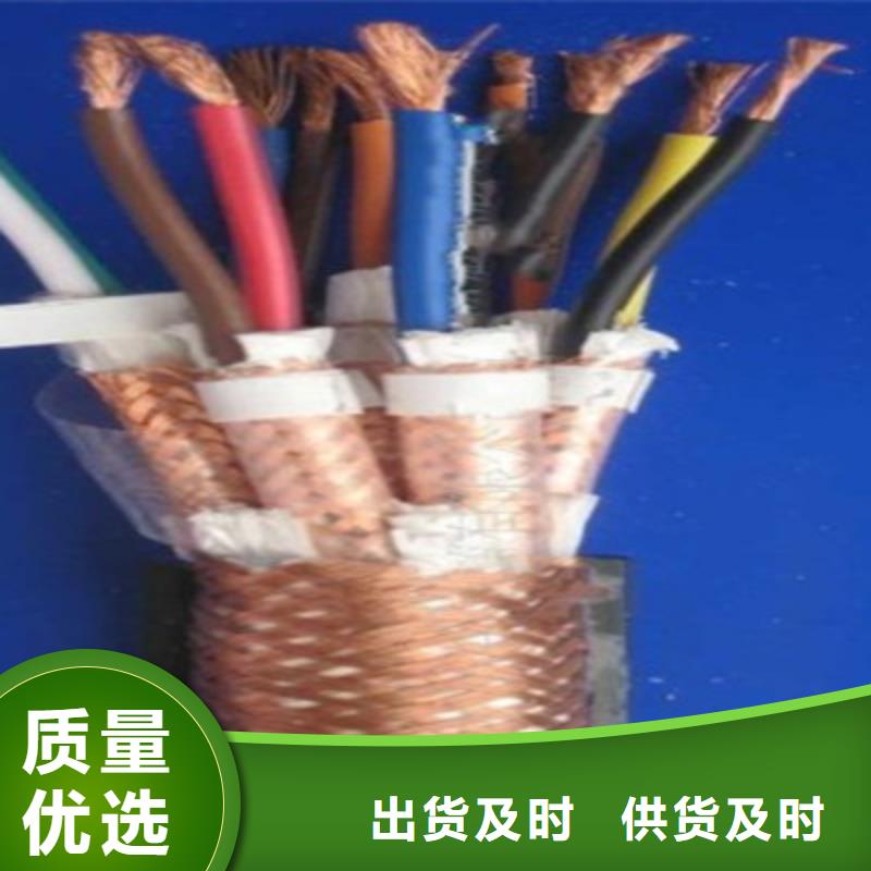 計算機電纜控制電纜專業設計