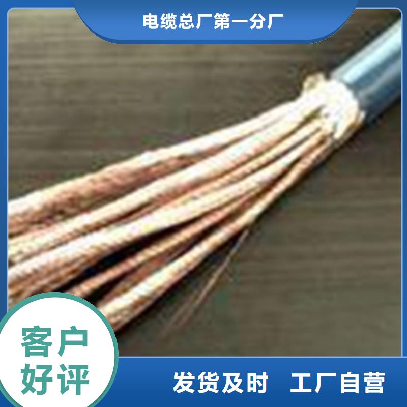 阻燃計算機電纜ZR-ZA-105廠家直售