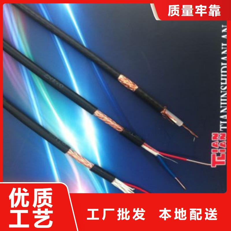 低煙無鹵計算機電纜WDZ-DJVP1V-TR24X2X0.75