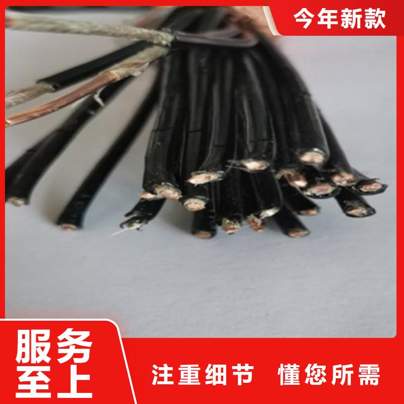 控制電纜_屏蔽電纜行業優選