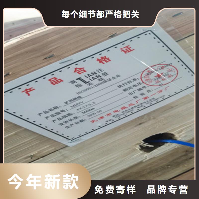 礦用通信電纜-本安防爆電纜廠家技術完善