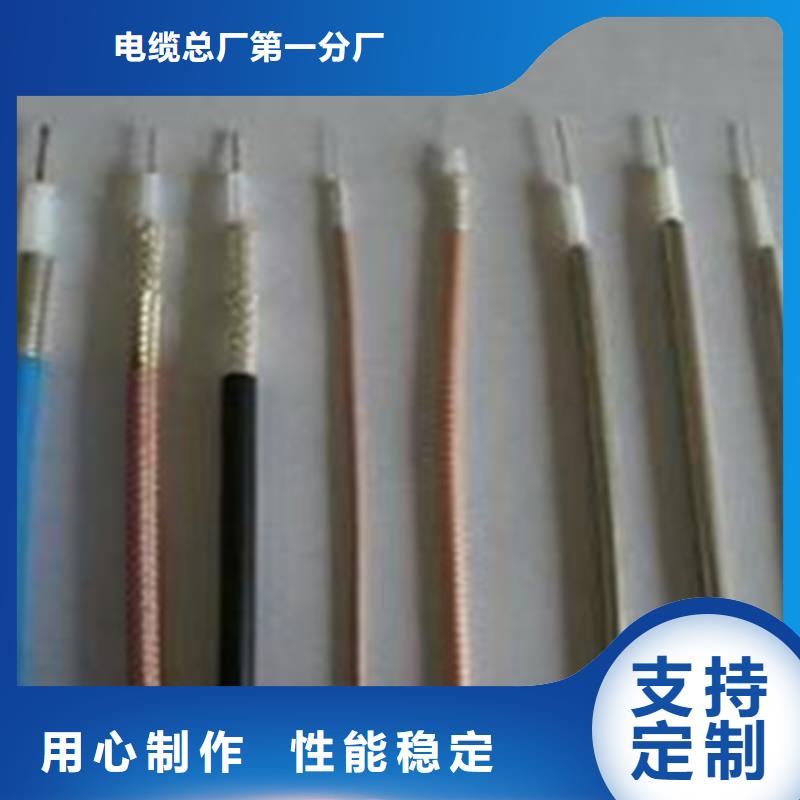 批發(fā)同軸電纜SYV的廠家