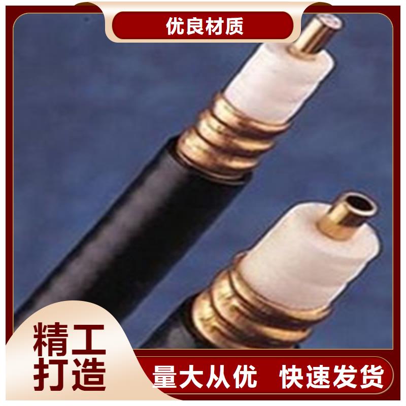 【射頻同軸電纜】屏蔽電纜實(shí)力公司