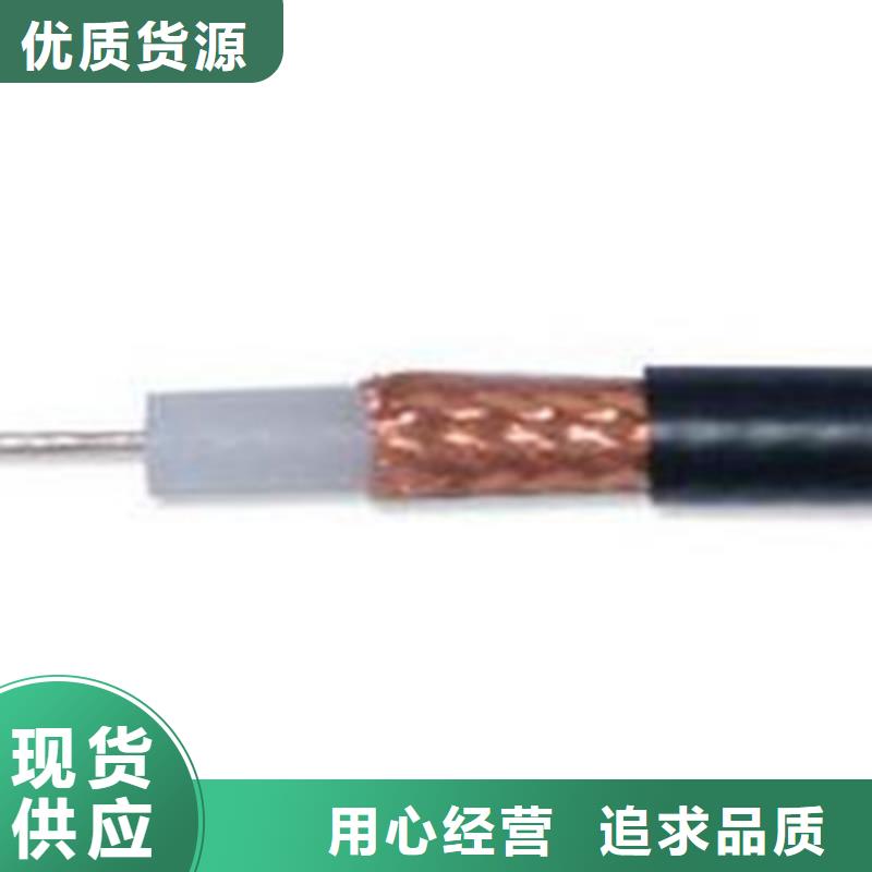 2024出厂价#钢丝铠装射频电缆SYP32公司#可配送