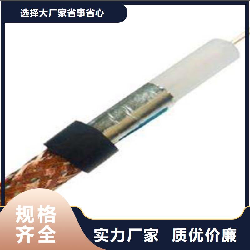 【射頻同軸電纜】屏蔽電纜實(shí)力公司