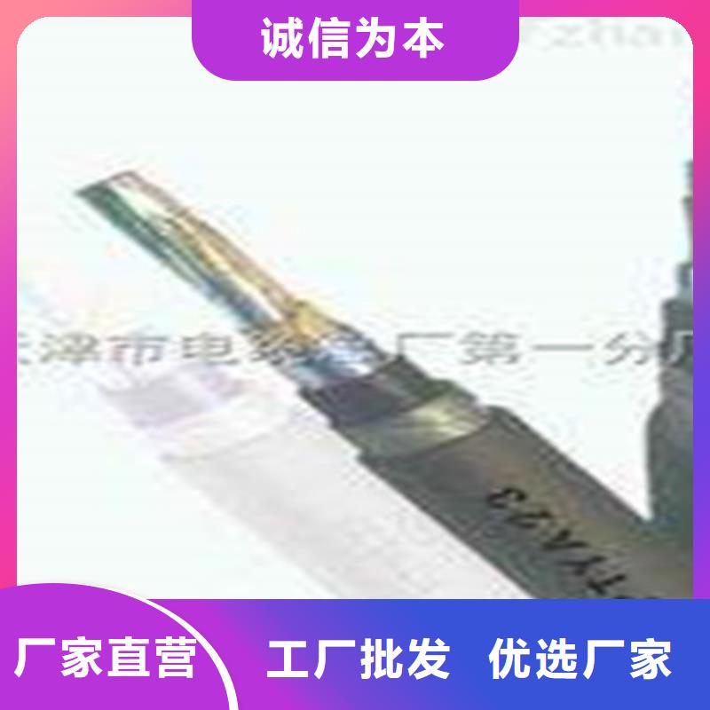 鐵路信號電纜_阻燃電纜廠家自有生產(chǎn)工廠