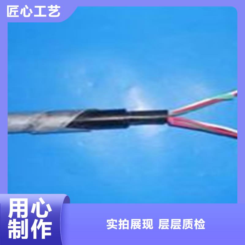 鐵路信號(hào)電纜計(jì)算機(jī)電纜敢與同行比服務(wù)