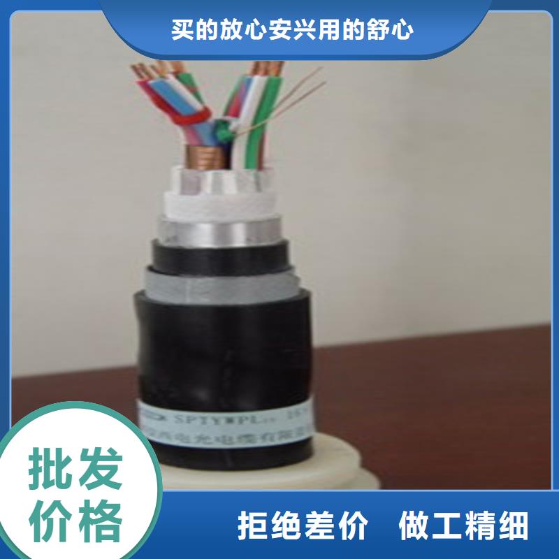 鐵路信號(hào)電纜計(jì)算機(jī)電纜敢與同行比服務(wù)