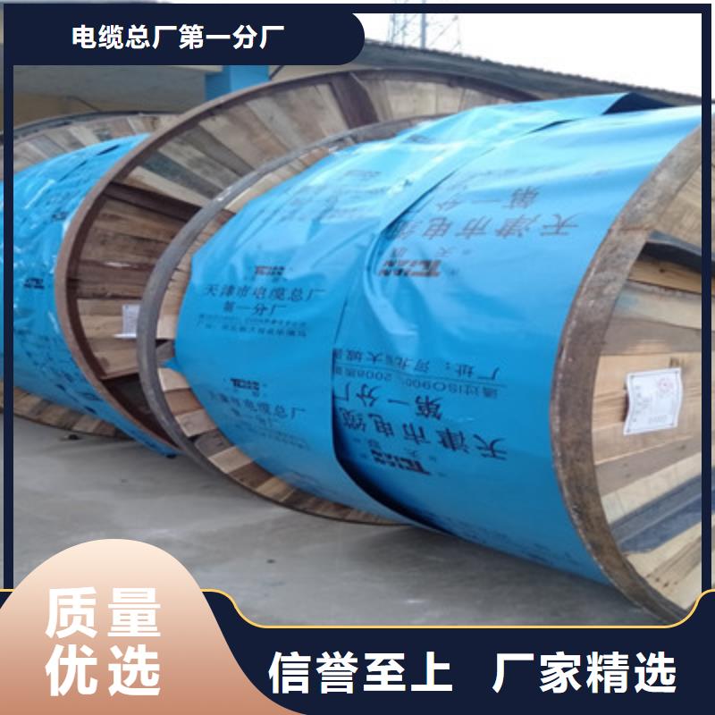 屏蔽电缆-视频-屏蔽电缆_广东省河源市电缆总厂分厂(河源市分公司)