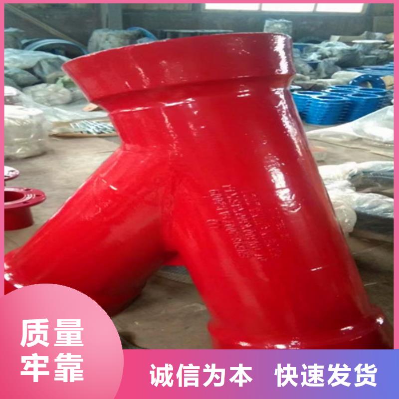 質量可靠的排氣閥	DN65基地