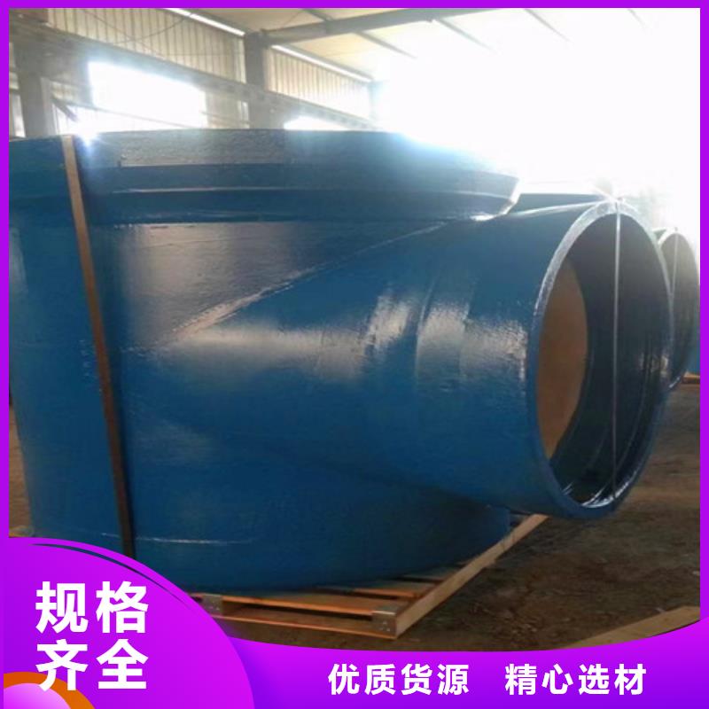 質量可靠的排氣閥	DN65基地