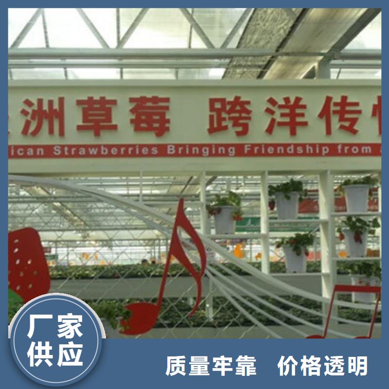 草莓種苗2025已更新(今日/動態(tài))