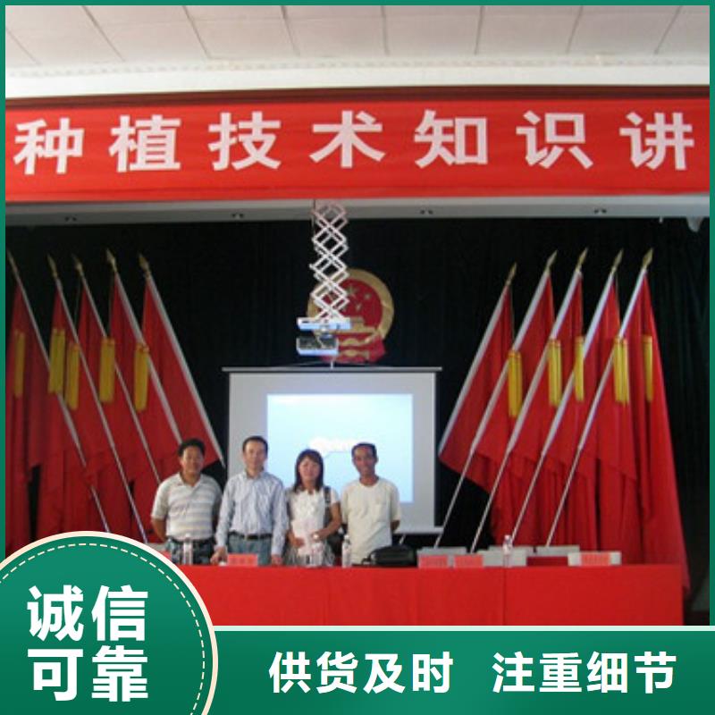 草莓苗-胭脂脆桃樹苗從廠家買售后有保障