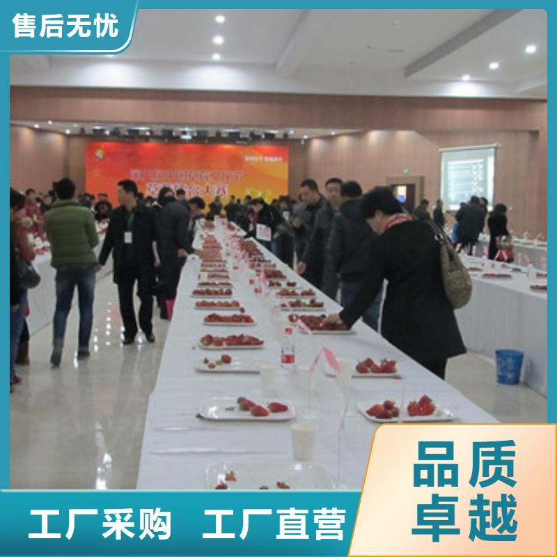 草莓苗梨樹苗基地購買的是放心