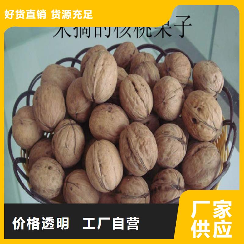 核桃苗蟠棗樹苗購買的是放心