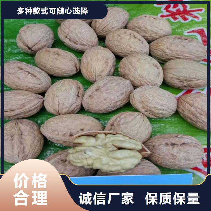 核桃苗無籽葡萄樹苗真正讓利給買家