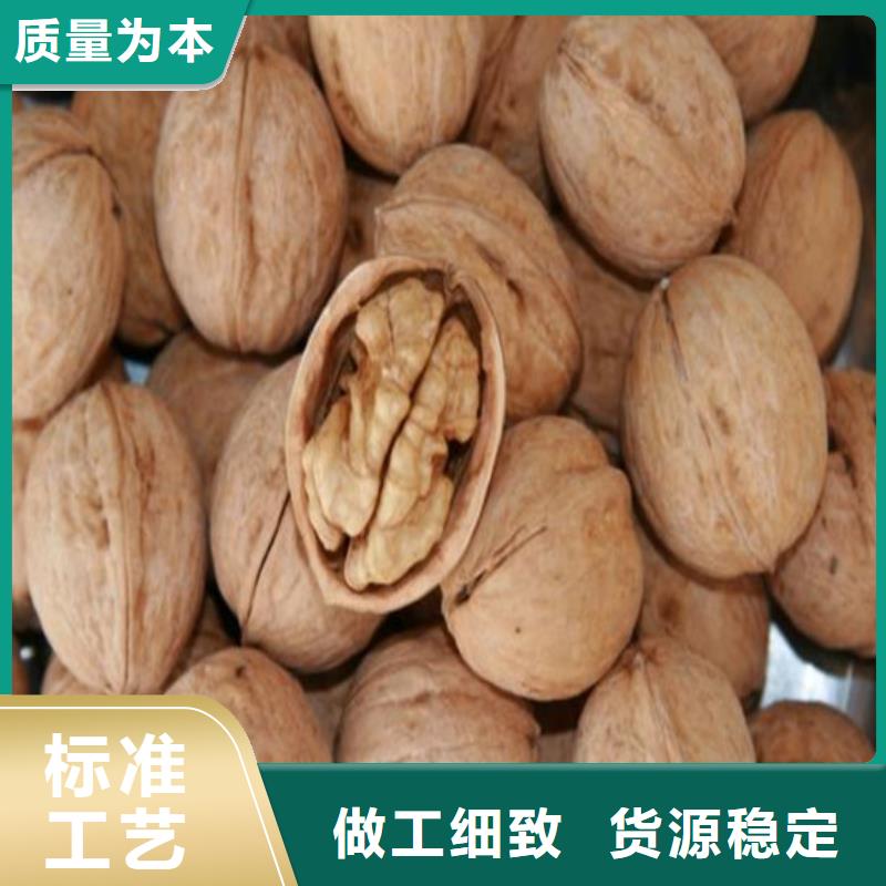 核桃苗,蟠棗樹苗品質服務
