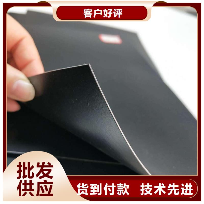 土工膜土工布精選廠家好貨