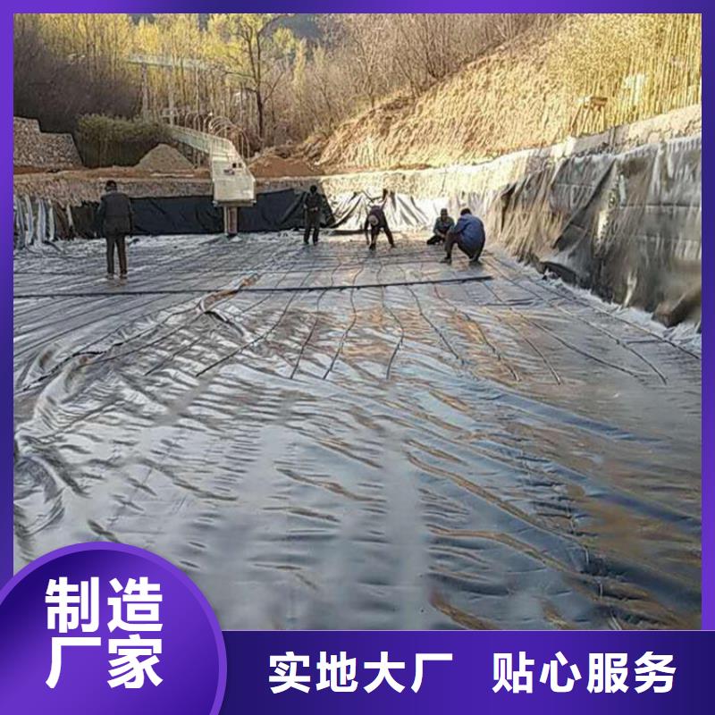 土工膜防水排水板廠家直銷省心省錢