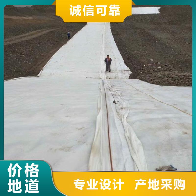土工布防滲土工膜工藝精細質保長久