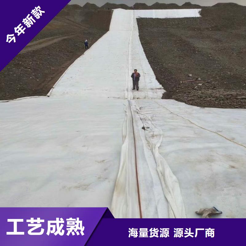 土工布-植草格免費安裝