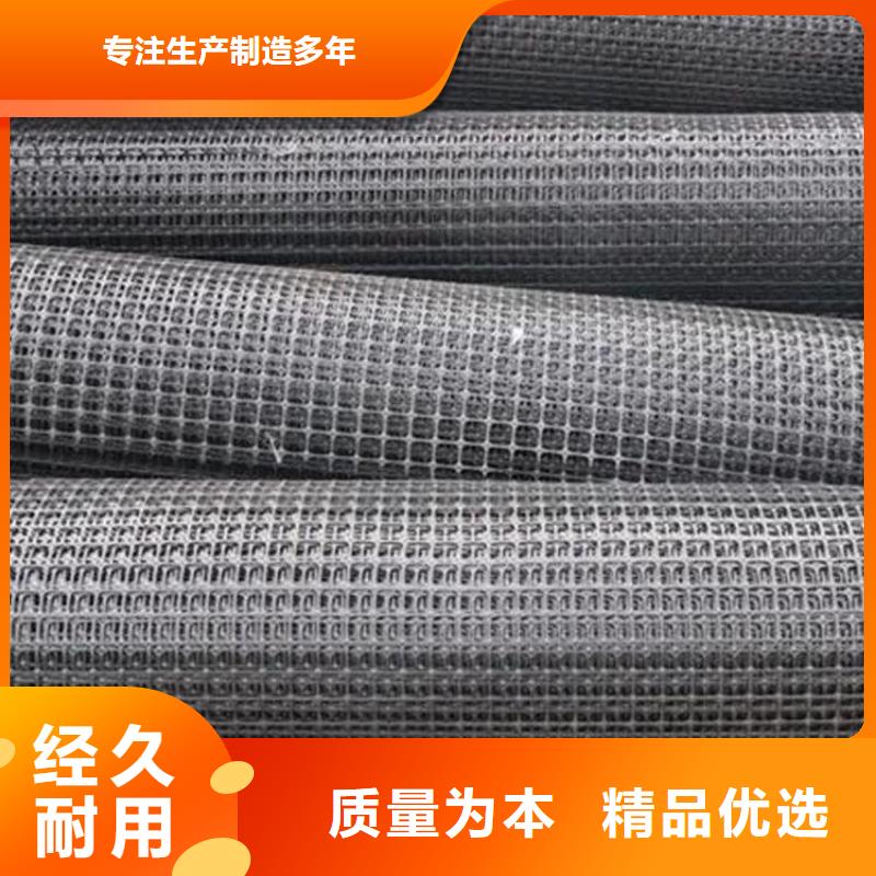 土工格柵HDPE土工膜多年廠家可靠