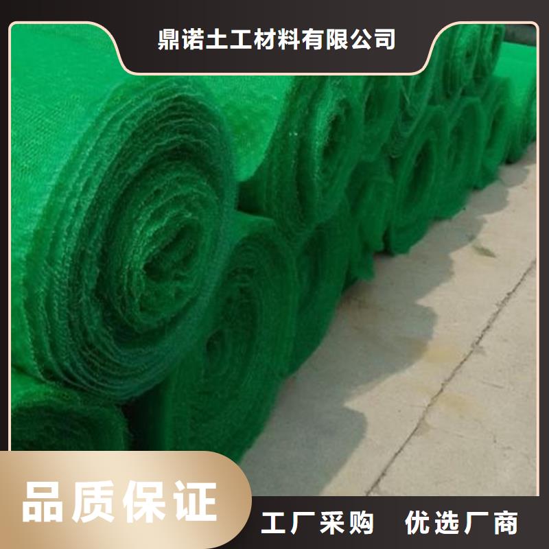 三維植被網復合土工膜廠家批發價