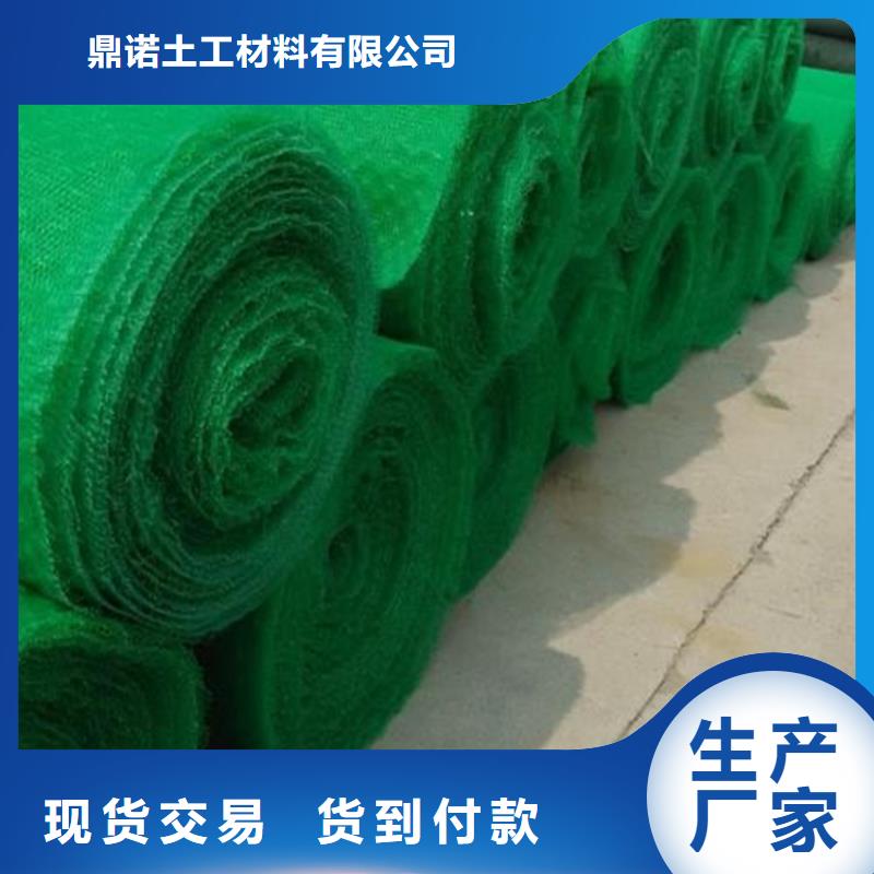三維植被網土工布工程施工案例