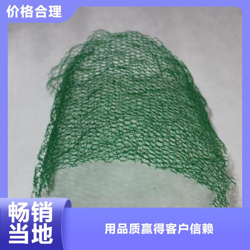 【三維植被網】軟式透水管專業生產廠家