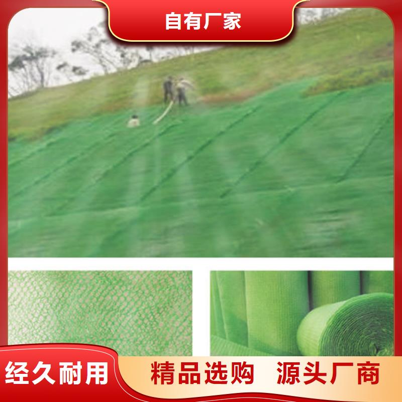 三維植被網(wǎng)土工布高品質(zhì)現(xiàn)貨銷售