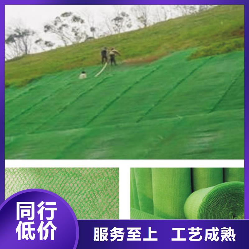 三維植被網土工布高品質現貨銷售
