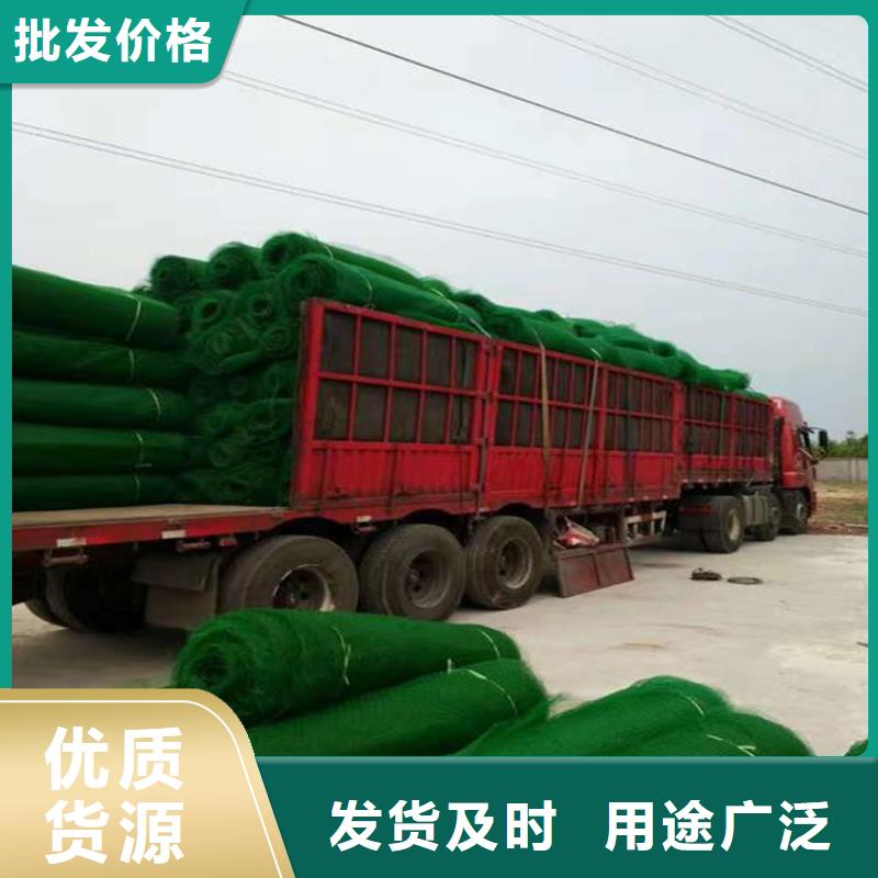 三維植被網(wǎng)_【防草布】用心經(jīng)營(yíng)