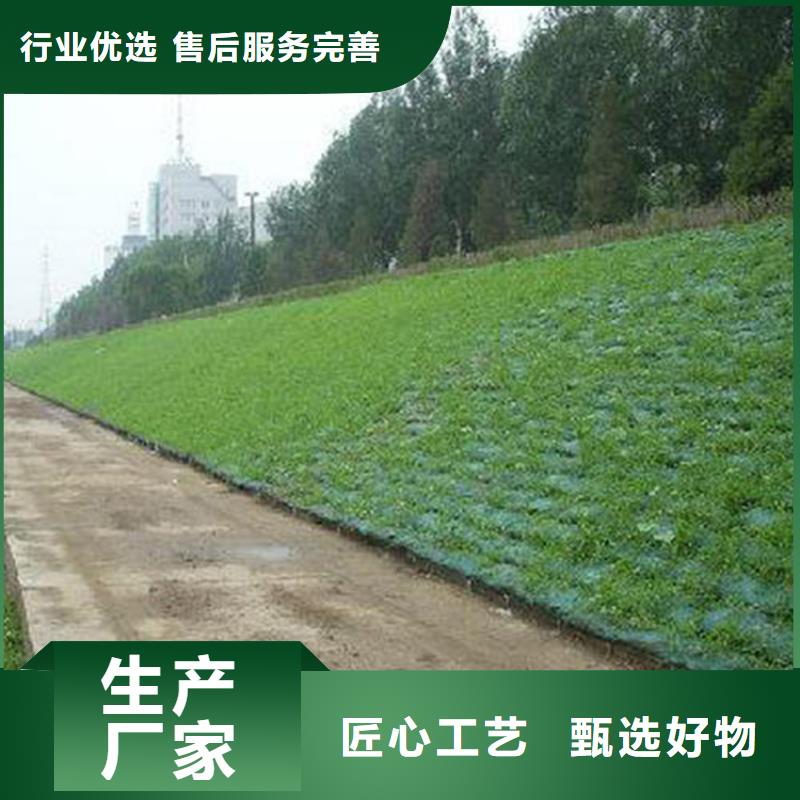 三維植被網(wǎng)土工布高品質(zhì)現(xiàn)貨銷售
