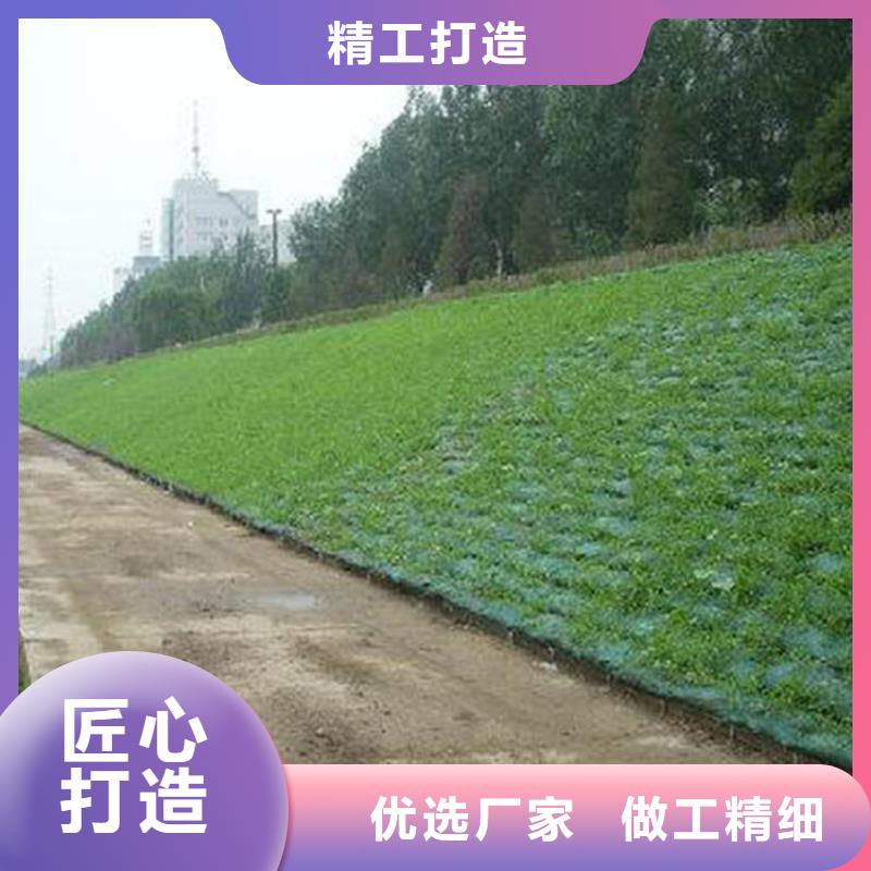 三維植被網硬式透水管嚴格把控每一處細節