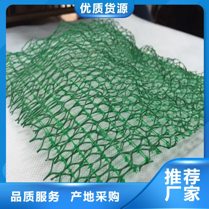 三維植被網土工布高品質現貨銷售