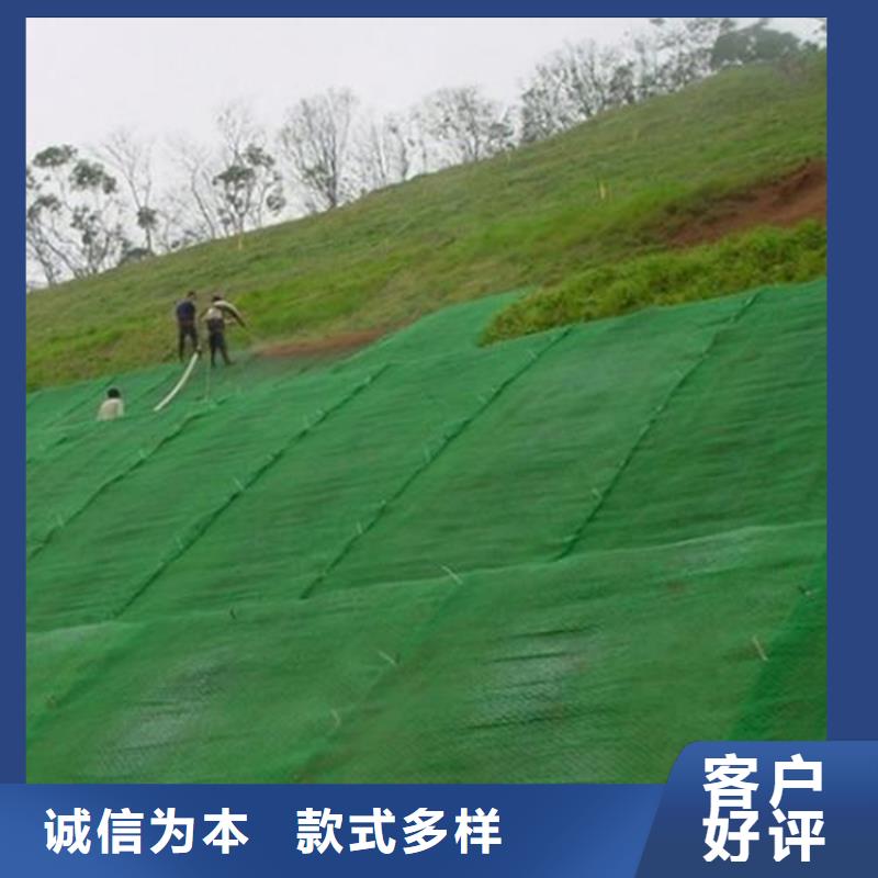 三維植被網膨潤土防水毯工藝層層把關