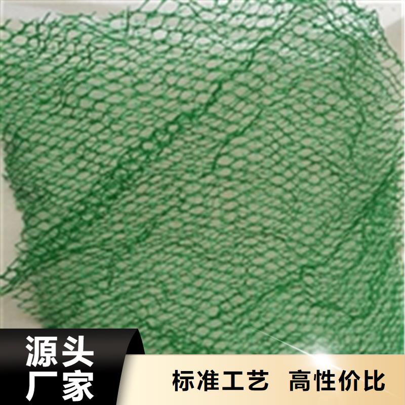 三維植被網(wǎng)軟式透水管的簡單介紹