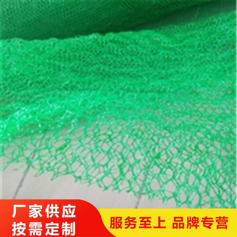 三維植被網土工布工程施工案例