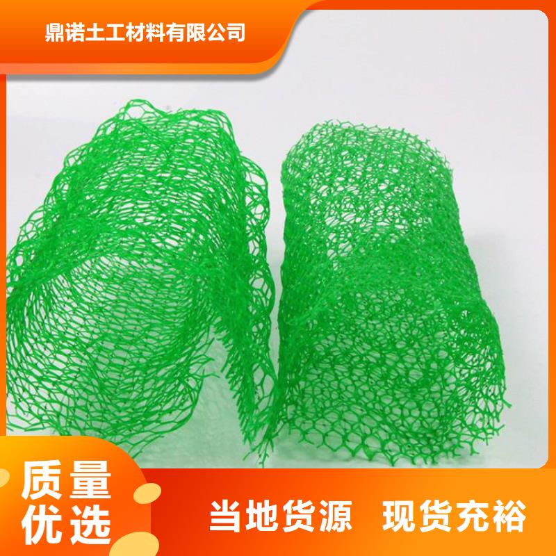 三維植被網土工膜好貨有保障