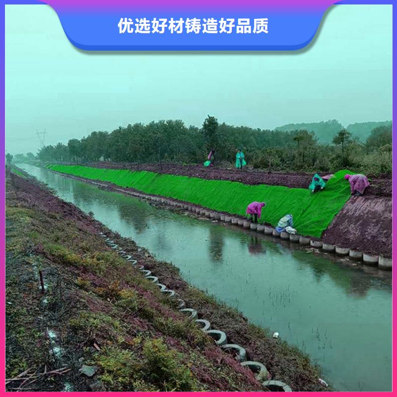 三維植被網土工布工程施工案例