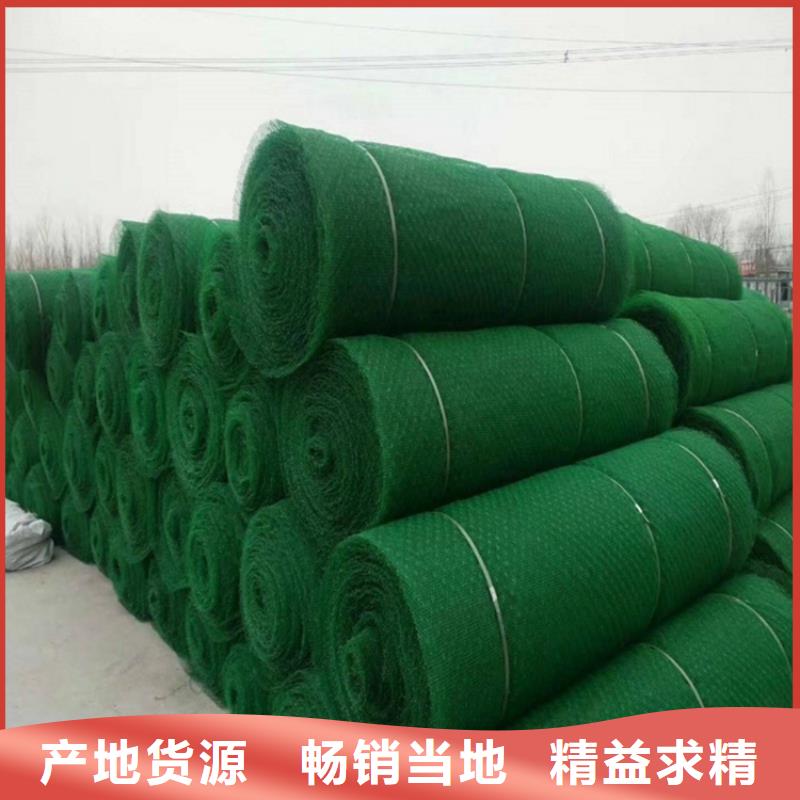 【三维植被网】土工布产品细节
