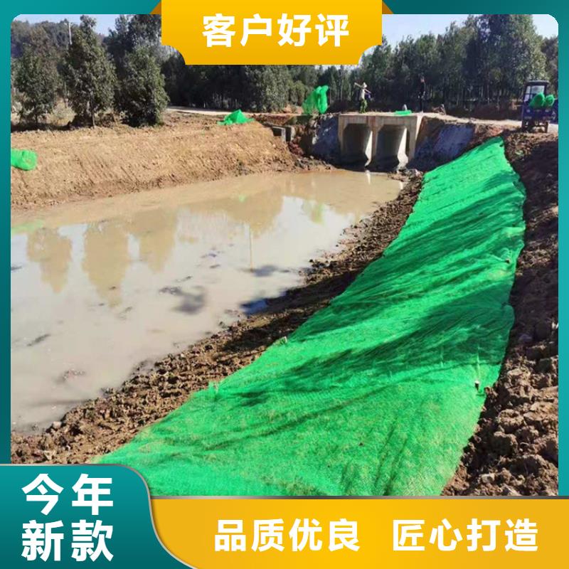 三維植被網土工布高品質現貨銷售