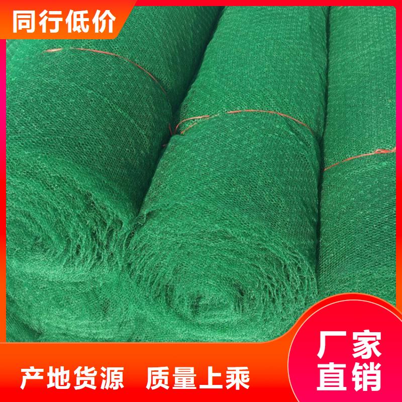 三維植被網土工膜好貨有保障
