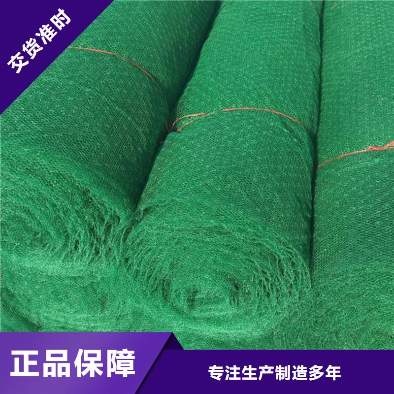 三維植被網土工布工程施工案例
