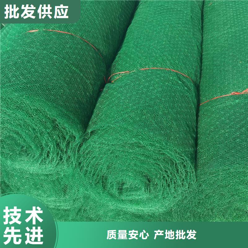 三維植被網土工布高品質現貨銷售