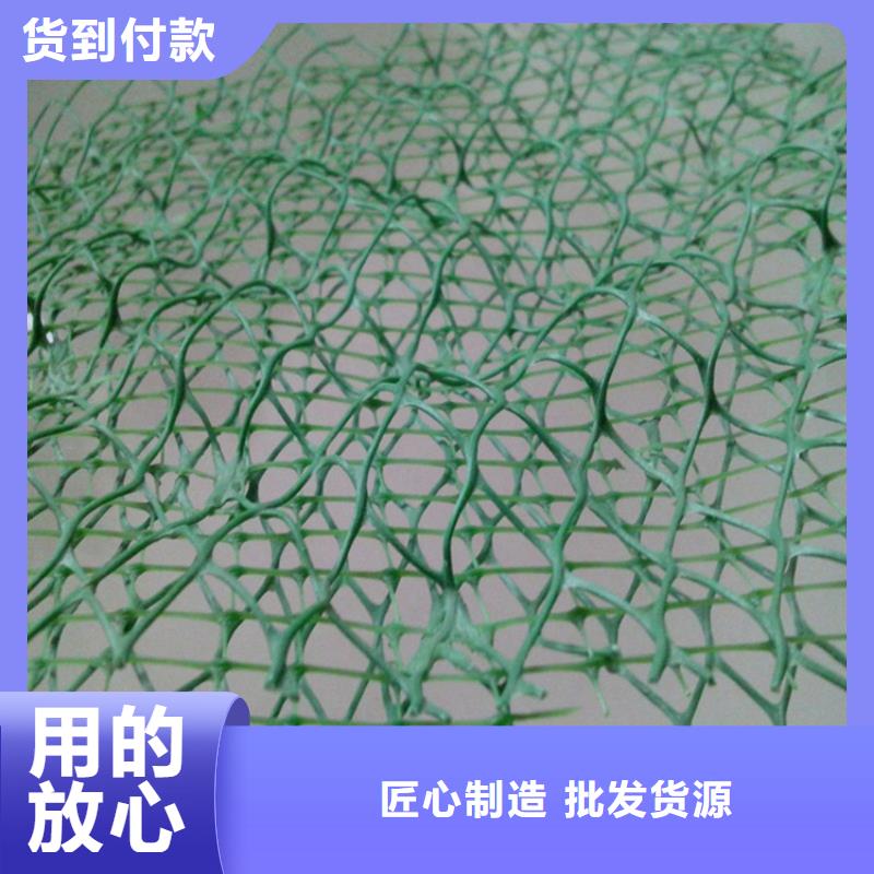 三維植被網土工布工程施工案例