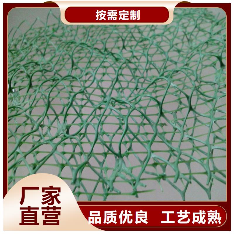 三維植被網(wǎng)土工膜質量可靠