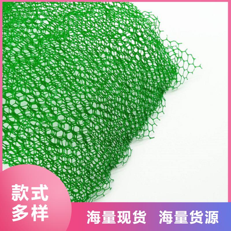 三維植被網膨潤土防水毯品牌企業