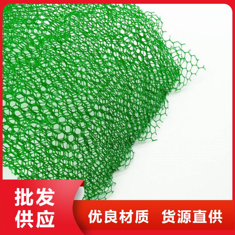 三維植被網土工布高品質現貨銷售